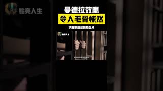 令人毛骨悚然的曼德拉效應，我們的記憶被修改了嗎？ #曼德拉效應 #陰謀論 #都市傳說