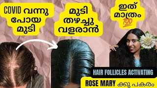 മുടി പെട്ടെന്ന് ഞെരുക്കം വെക്കാൻ ഈ 2 ചെടികൾ മതി മക്കളേ😱Thin to Thick Hair💯|Don't need Rosemary🫣🤫