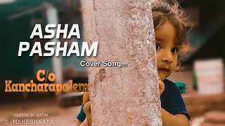 Asha Pasham Video Cover Song || Care Of Kancharapalem Video Songs