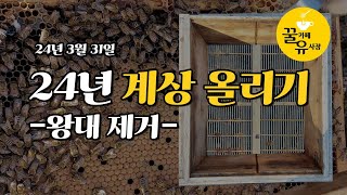 꿀카페유사장 - 24년 2층(계상)올리기