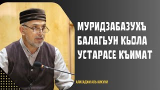 Муридзабазухъ балагьун кьола устарасе къимат. Алихаджи аль-Кикуни