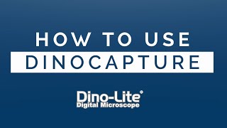 How to use DinoCapture 2.0 for Dino-Lite on Windows
