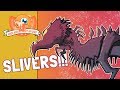 Much Abrew: Slivers!!! (Modern, Magic Online)