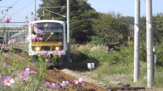 八高線　金子駅付近　209系3100番台