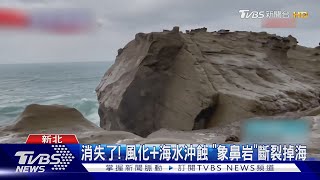 消失了! 風化+海水沖蝕 「象鼻岩」斷裂掉海｜TVBS新聞 @TVBSNEWS02