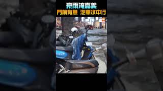 【天氣】豪雨淹嘉義 門前有魚 汽車水中行