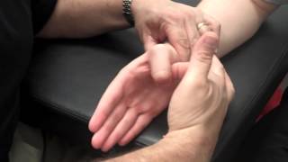 Flexor Pollicis Longus and Brevis MMT