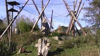 Durrell Wildlife Park Jersey.wmv