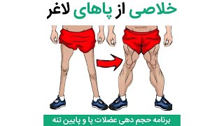 خلاصی از پاهای لاغر | برنامه حجم دهی عضلات پا و پایین تنه