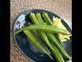 bhindi masala #okra masala #okra sabzi