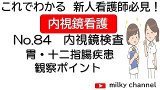 これでわかる　新人看護師必見！　内視鏡看護　介助No.84  内視鏡検査　胃・十二指腸疾患　観察のポイント