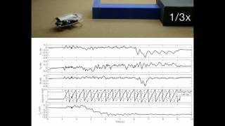 Force Sensing Shell for VelociRoACH