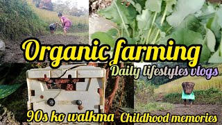 90s ko walkman// organic farming in sikkim village dalapchand