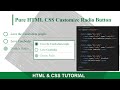 KH Publishing. How to Create Custom Radio Button using Pure HTML and CSS |Customize Radio Button #01
