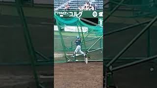 ファイターズ有薗直輝のバッティング練習 #shorts #北海道日本ハムファイターズ #プロ野球