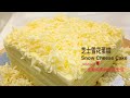 芝士雪花蛋糕 The Best Snow Cheese Cake Recipe | Cheesecake