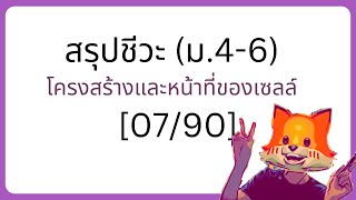 สรุปชีวะ ม.4-6 [DAY7/90] - โครงสร้างและหน้าที่ของเซลล์