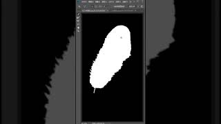 PS抠选羽毛教程