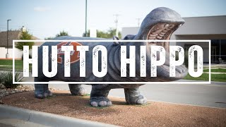 The Legend of Hutto: A Hippo Loose in Hutto