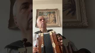 Ornement quadruple du Quadrille de Gaspé #lygeros #music #accordion