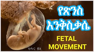 የጽንስ እንቅስቃሴ ||  የጤና ቃል || Fetal Movement || እረኛዬ || seyfu on ebs