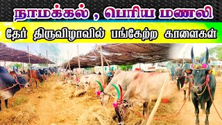 நாமக்கல்,பெரிய மணலி  தேர் திருவிழாவில்  பங்கேற்ற காளைகள் #kangayam_kalai #bull #video #videos