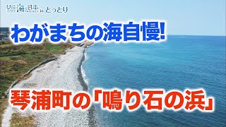 わがまちの海自慢！鳥取県琴浦町の「鳴り石の浜」 日本財団 海と日本PROJECT in とっとり 2022 #07