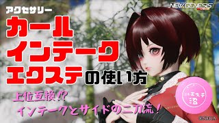 【PSO2NGS】アクセサリー「カールインテークエクステ」の使い方