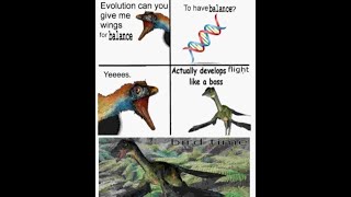 Genetic algorithms, the tidy way (and software development) - Part 2