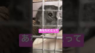 おしるのおはよう(〃ω〃)