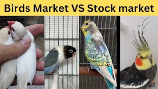 birds market Vs stock market | February 4, 2025