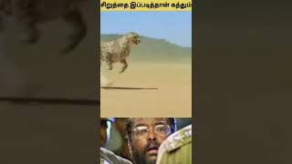 ஒரு சிறுத்தை இப்படித்தான் கத்தும் #Shorts #tamil