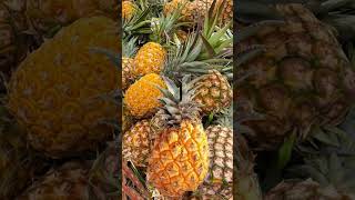 Wonderful Pineapple fruit #youtubeshorts #asmr #fruit