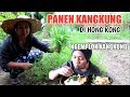 CARA MAKAN IRIT ALA TKW || MAKAN DARI HASIL KEBUN SENDIRI 😍