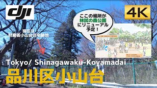 【再開発】2024年にこの旧住宅エリアが林試の森公園に！│Shinawa-Ku Koyamadai│東京/品川区・財務省小山台住宅跡地【4K60│DJI Pokcet2】