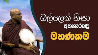 බල්ලෙක් නිසා අතහැරුණු මහණකම | Didula Arana | EP. 176