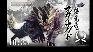 MHRise Demo2 怨虎龍/マガイマガド/magnamalo 双剣/Dual blades solo 10:33