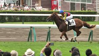 【武豊】これは強い！ガイアメンテが新馬戦を持ったままで快勝！