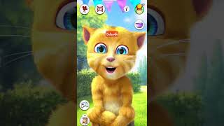 Talking Ginger Kore Nani Neko #shorts #trending #viral