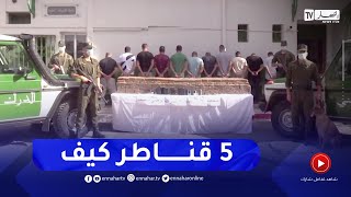 حجز أكثر من 5 قناطير من القنب الهندي ..  وتوقيف 12 شخصا بسطيف