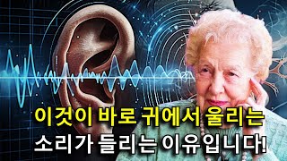 이명에 대한 12가지 영적 해석! Dolores Cannon!