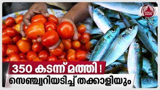 350 കടന്ന് മത്തി ! സെഞ്ച്വറിയടിച്ച് തക്കാളിയും | Sardine Fish Price Hike  Vegetable price | Kerala