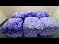 Purple Pasted Gym Chalk ASMR | Oddly Satisfying Chalk Crushing