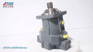 A6VM Motor
