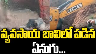 వ్యవసాయ బావిలో పడిన ఏనుగు | Elephant Rescue | hmtv