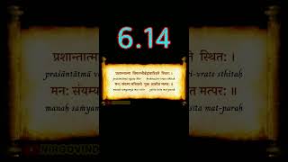 👆 BG 6.14 | Bhagavad Gita 6.14 | Chapter 6.14 | Shloka 6.14 | Text 6.14 | Verse 6.14 #shorts