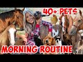 My Winter Christmas Morning Routine WITH 40+ Pets!  *SUPER CUTE ANIMALS*