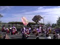 風魅彩『千里の道』／香取市民デー（11月）@水郷佐原あやめパーク