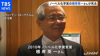 ノーベル化学賞の根岸英一さんが死去