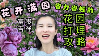 如何花开满园，省时省力省钱的打理庭院法（片尾有本季的花开欣赏）